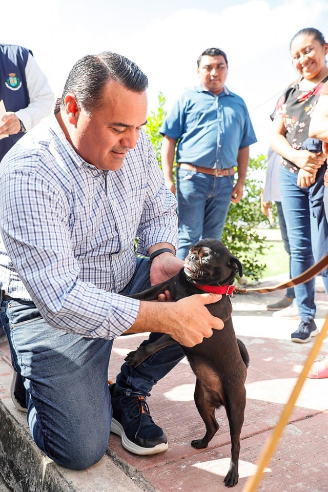 El Ayuntamiento ofrece “Esperando por ti” una app para fomentar la adopción canina y felina.