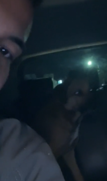 Perrito viaja solo en Uber