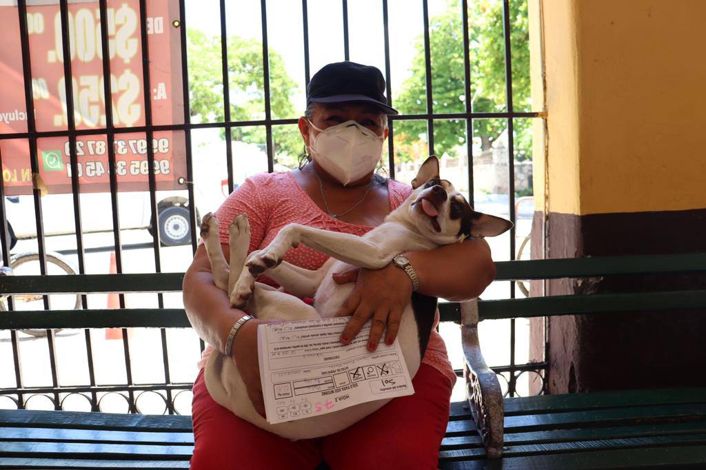 El Ayuntamiento de Mérida continúa realizando jornadas intensivas de esterilización animal a bajo costo