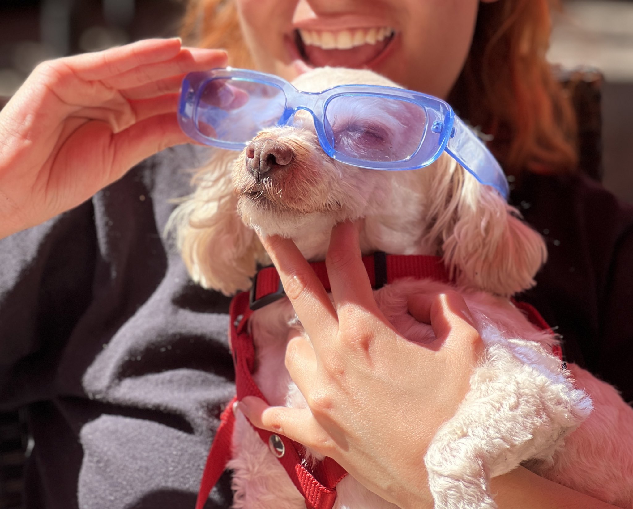 Hoy 20 de marzo se celebra el Día Internacional De La Felicidad
