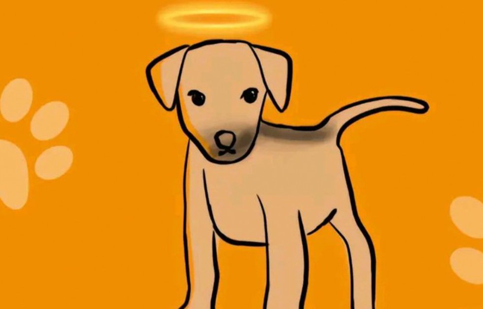 Vanessa N., acusada de torturar y matar a perrito Huellitas, no pisará la cárcel