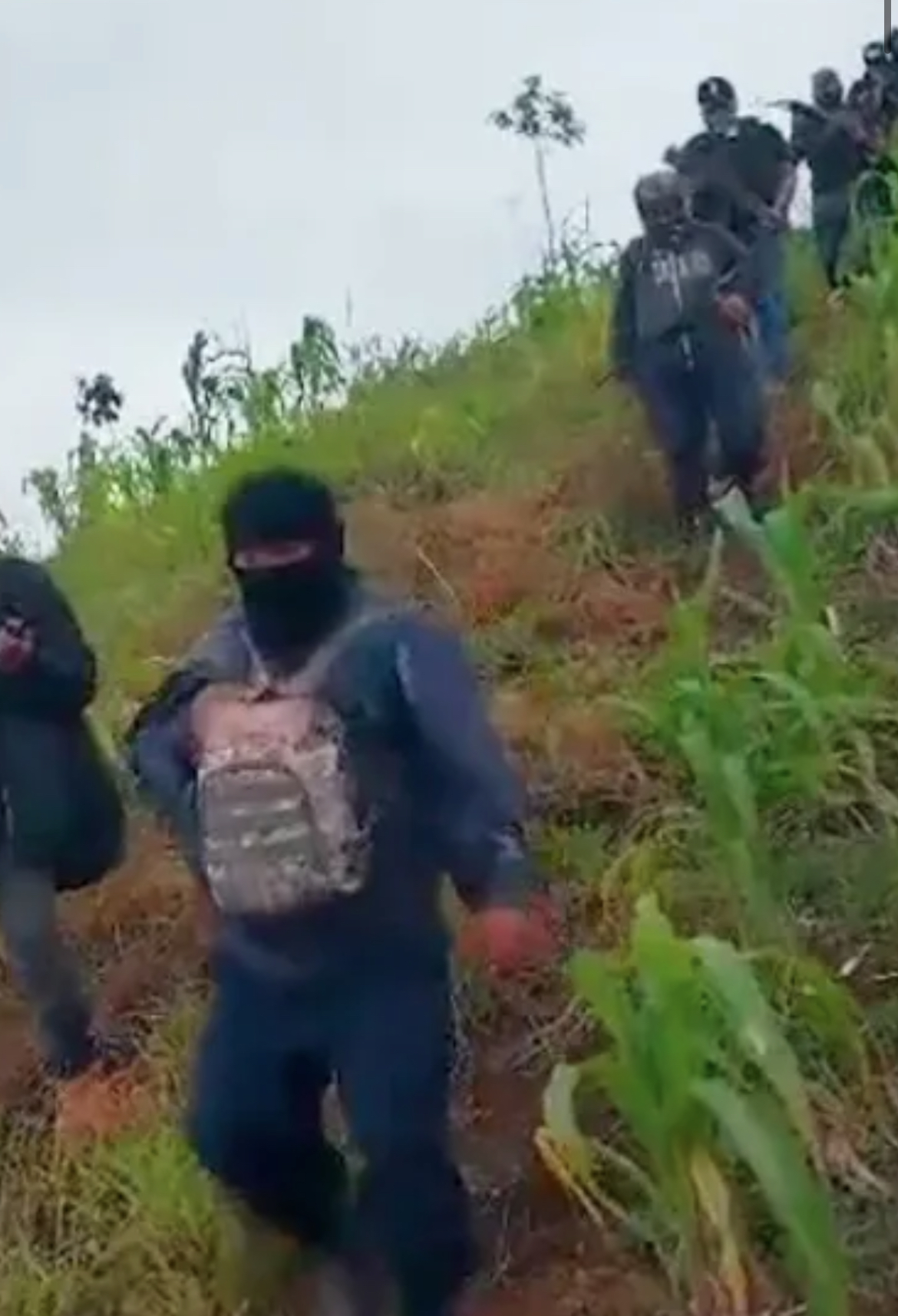 Surge nuevo grupo de autodefensas en el municipio de Pantelhó, Chiapas