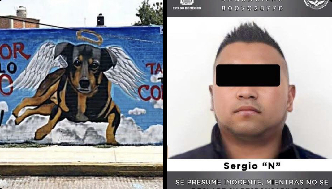 Sergio “N” fue sentenciado a 5 años de cárcel