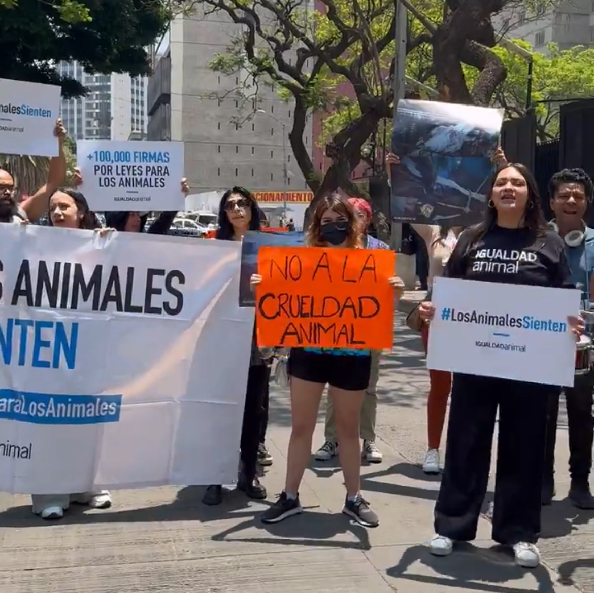 Activistas protestan por el sacrificio animal frente al Senado de la República