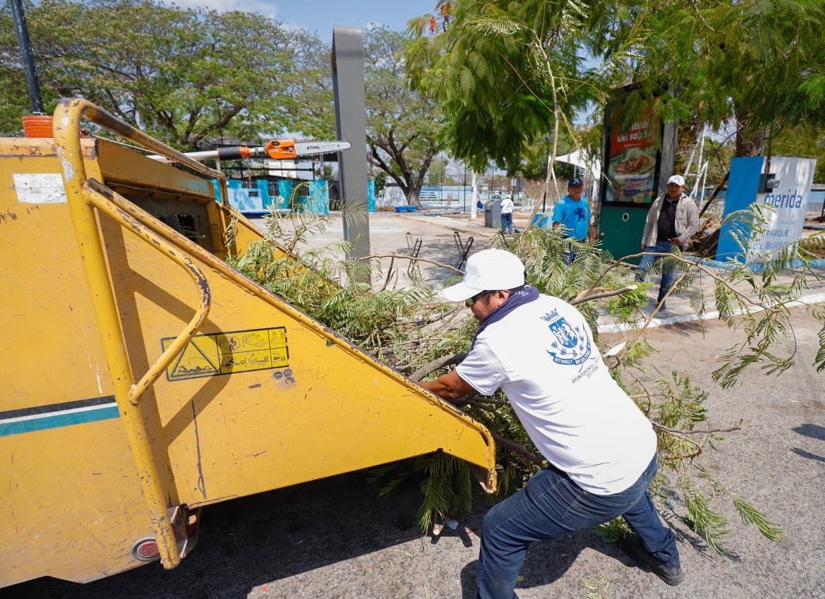 El Ayuntamiento trabaja en la atención inmediata y oportuna de reportes ciudadanos