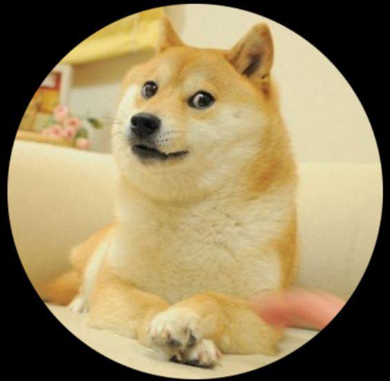 Falleció Kabosu, la perrita shiba que inspiró el mundialmente meme Doge y la criptomoneda Dogecoin