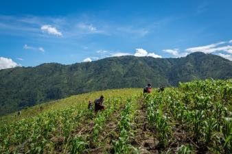 Hoy es día Mundial del Medio Ambiente 2024 (5 de junio)