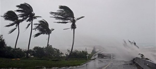 Conoce los niveles de alerta ciclónica