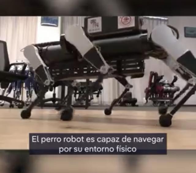 Perro-robot, como guía.