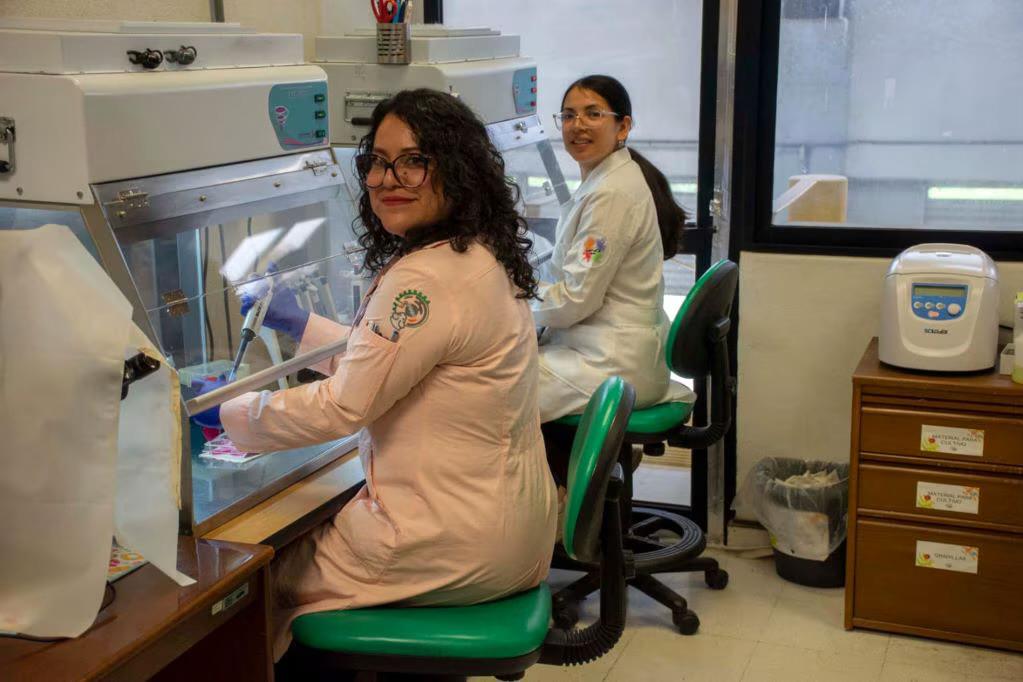 Investigadoras de la UNAM trabajan con nanotecnología en medicina regenerativa.