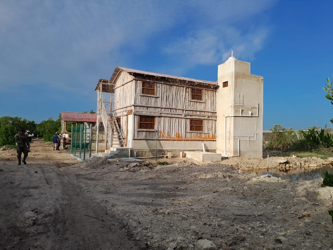 ¿Tierra de nadie en San Felipe? Devastación del manglar imparable.