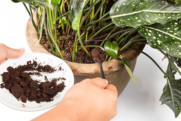 ¿Sabías que los residuos de café se pueden reutilizar?