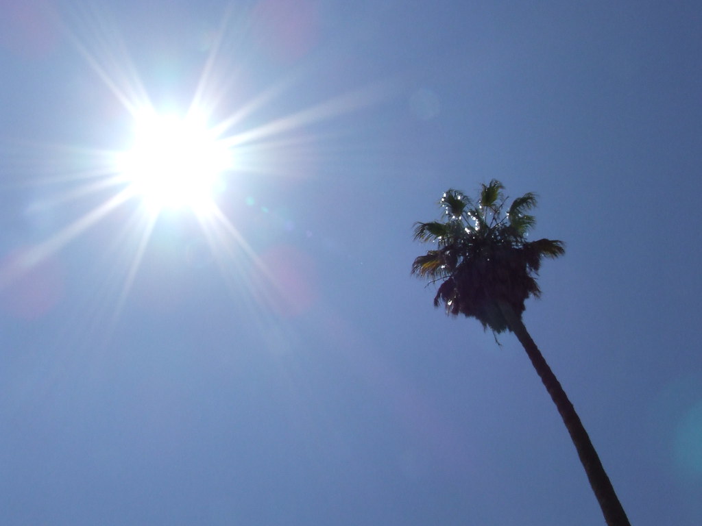 Pronóstico del clima.