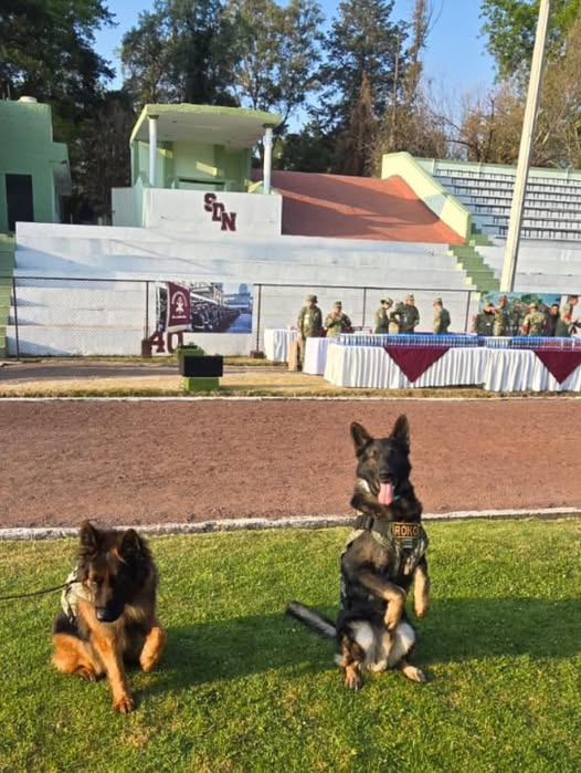 ¡Arkadas se graduó!