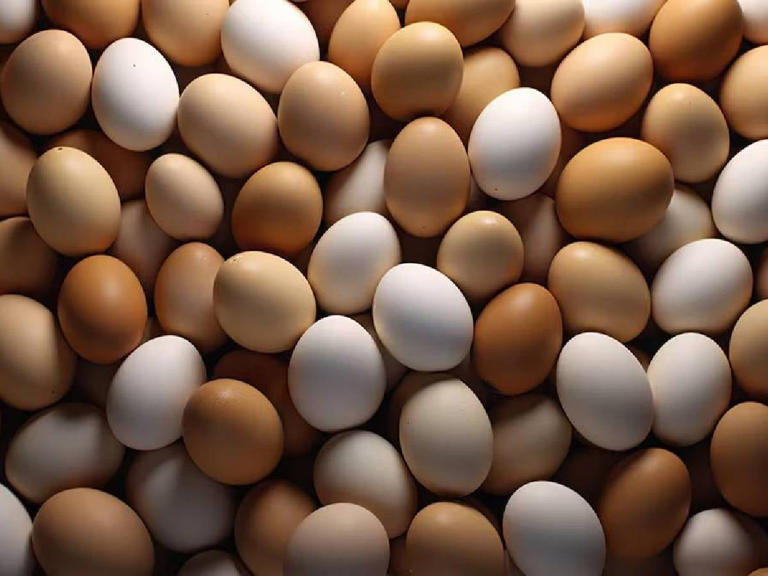 Desabasto de huevo aumentan en EU por gripe aviar.