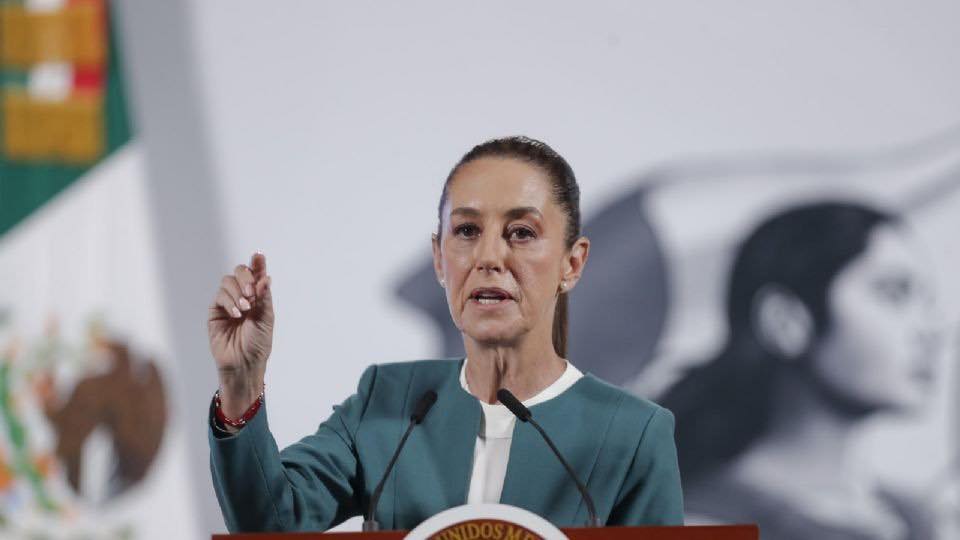 Sheinbaum prohíbe maíz transgénico