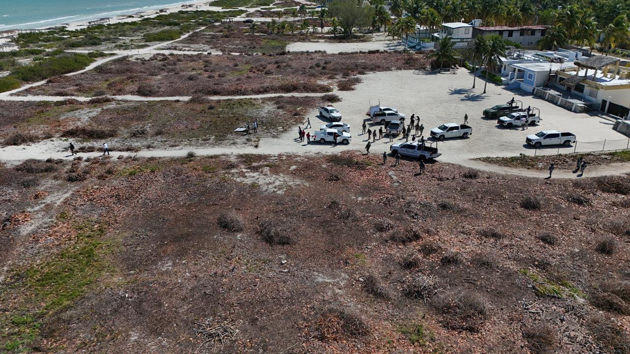 ¿Por qué la renuncia de Federica Quijano sería beneficiosa para Yucatán?