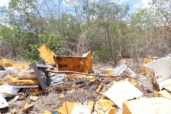 Alerta por Desmonte y Lotificación Ilegal en la Reserva Ecológica Cuxtal.