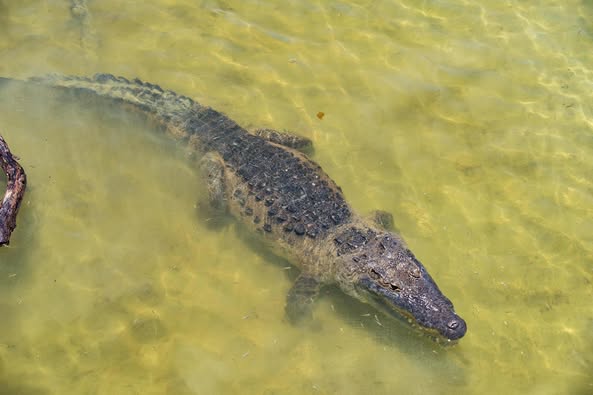 Dzilam de Bravo apuesta por el ecoturismo