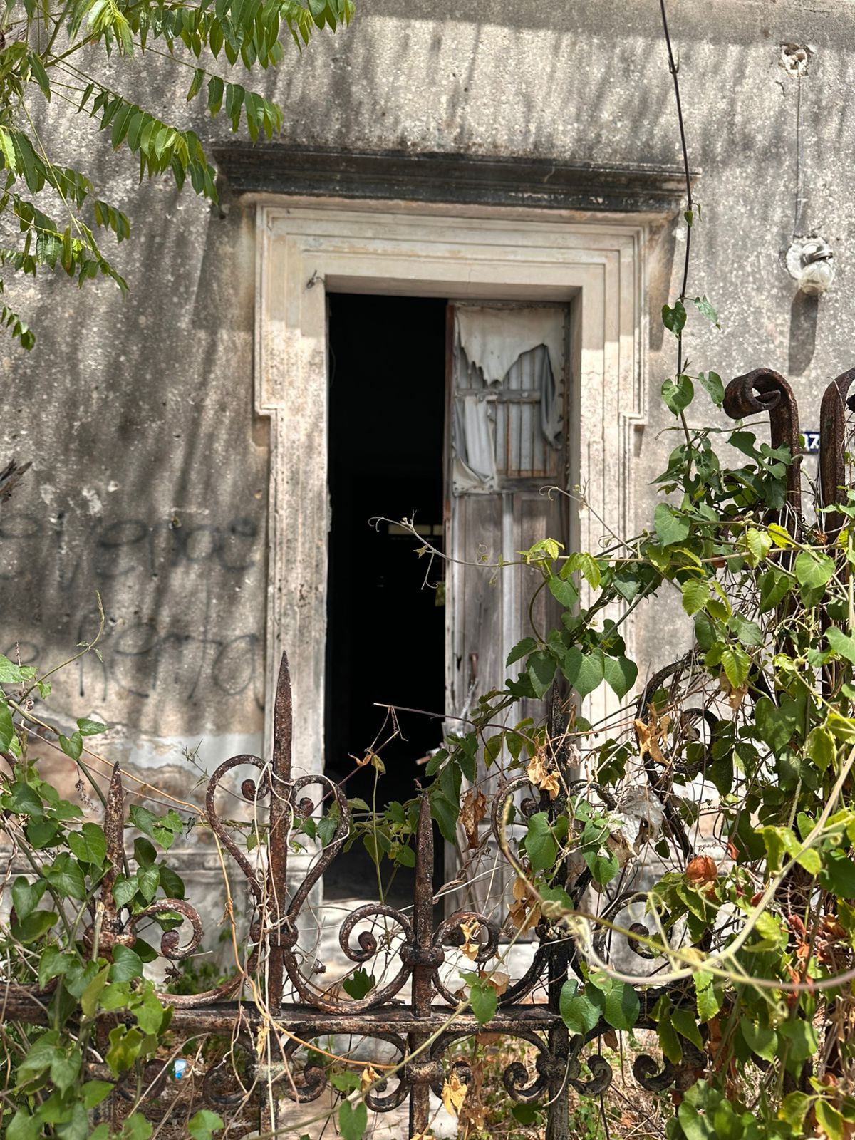 5 razones por las que debes visitar Mérida en tus próximas vacaciones