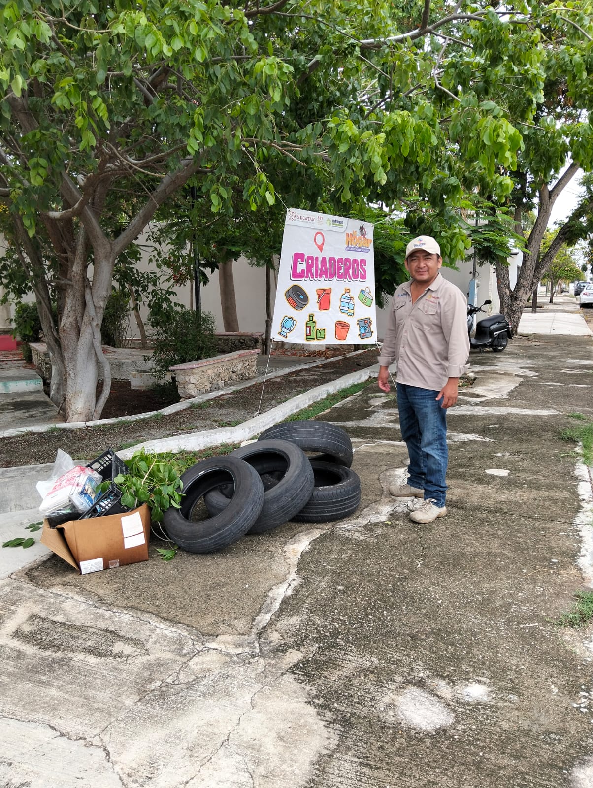 Yucatán elimina más de 110 toneladas de criaderos de moscos gracias a la participación ciudadana
