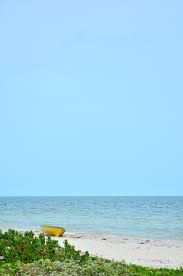 Yucatán sin presencia de marea roja, confirma la Secretaría de Salud