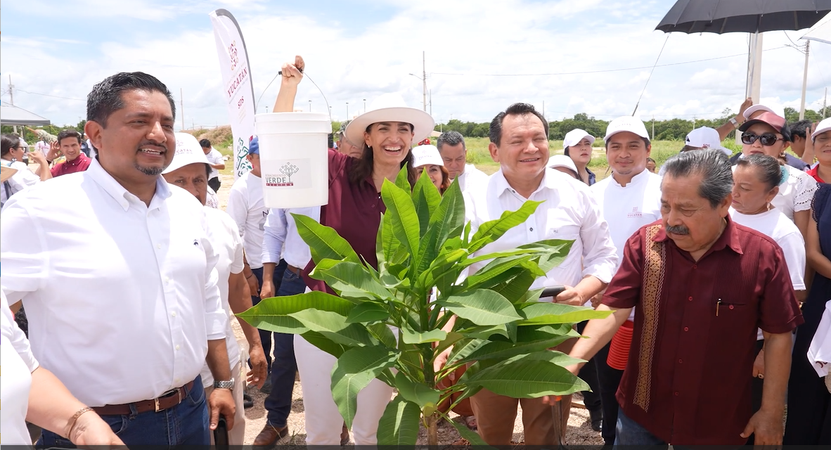 Valladolid impulsa la reforestación con la siembra de más de 5 mil árboles dentro de Renacimiento Verde