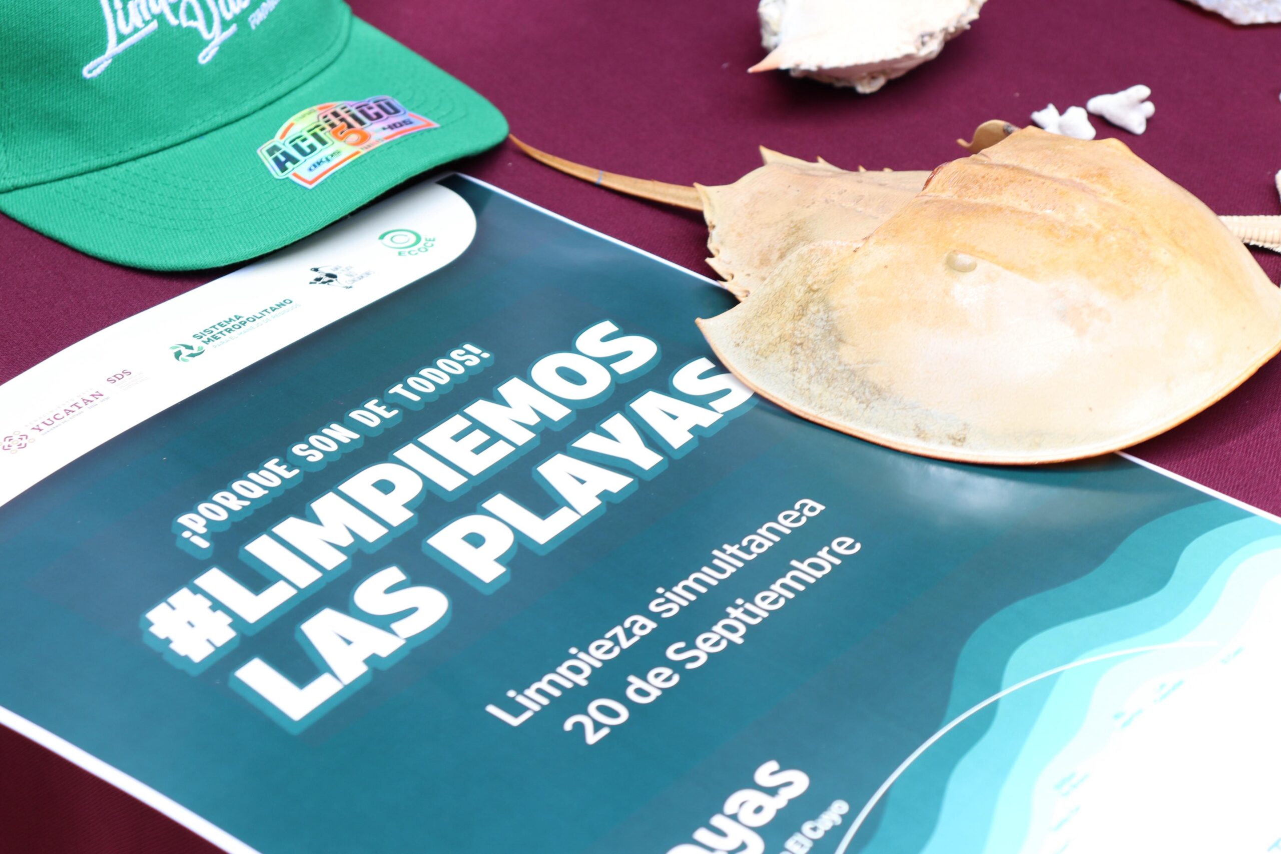 Invitan a Jornada Simultánea de Limpieza en la Costa Yucateca