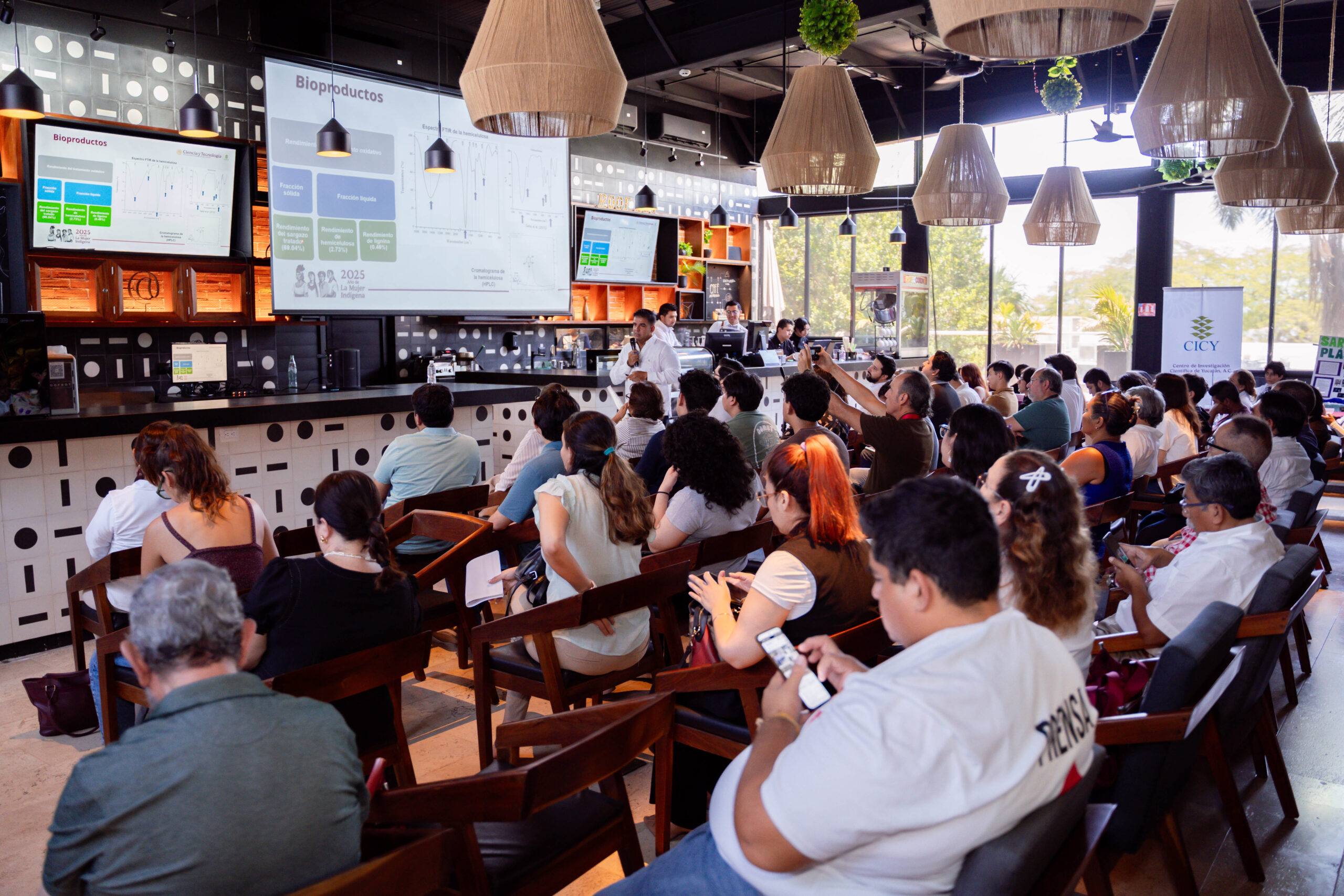 Yucatán impulsa alternativas innovadoras para el aprovechamiento del sargazo