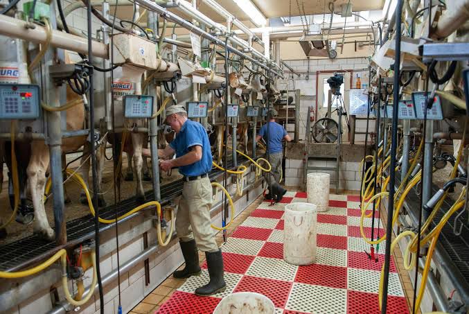 Leche del Bienestar: Estrategia para Sustituir Importaciones y Apoyar a Productores Mexicanos