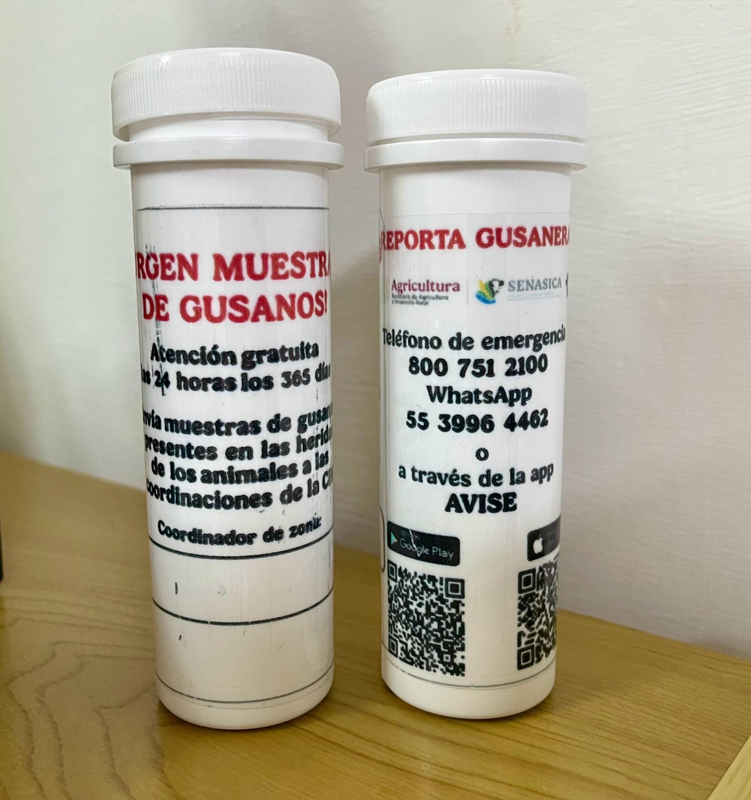 Gobierno de Yucatán intensifica control del gusano barrenador para proteger al ganado