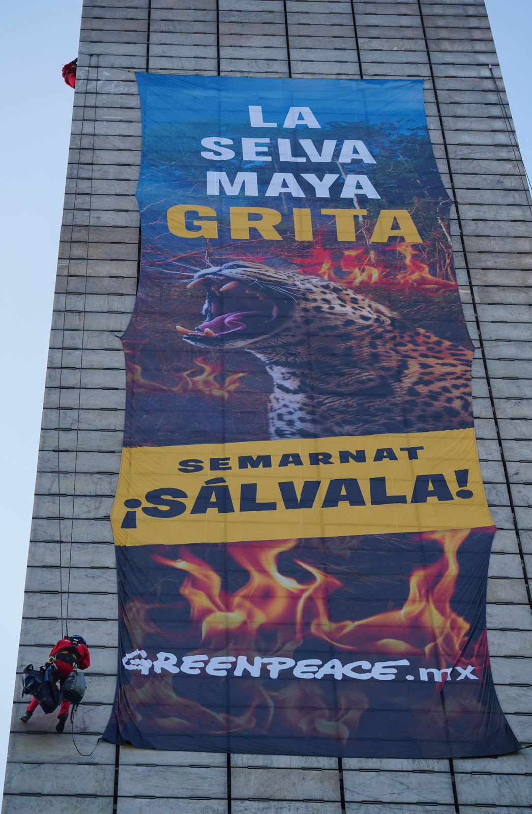 Activistas de Greenpeace escalan la Estela de Luz en Ciudad de México para exigir la protección de la Selva Maya