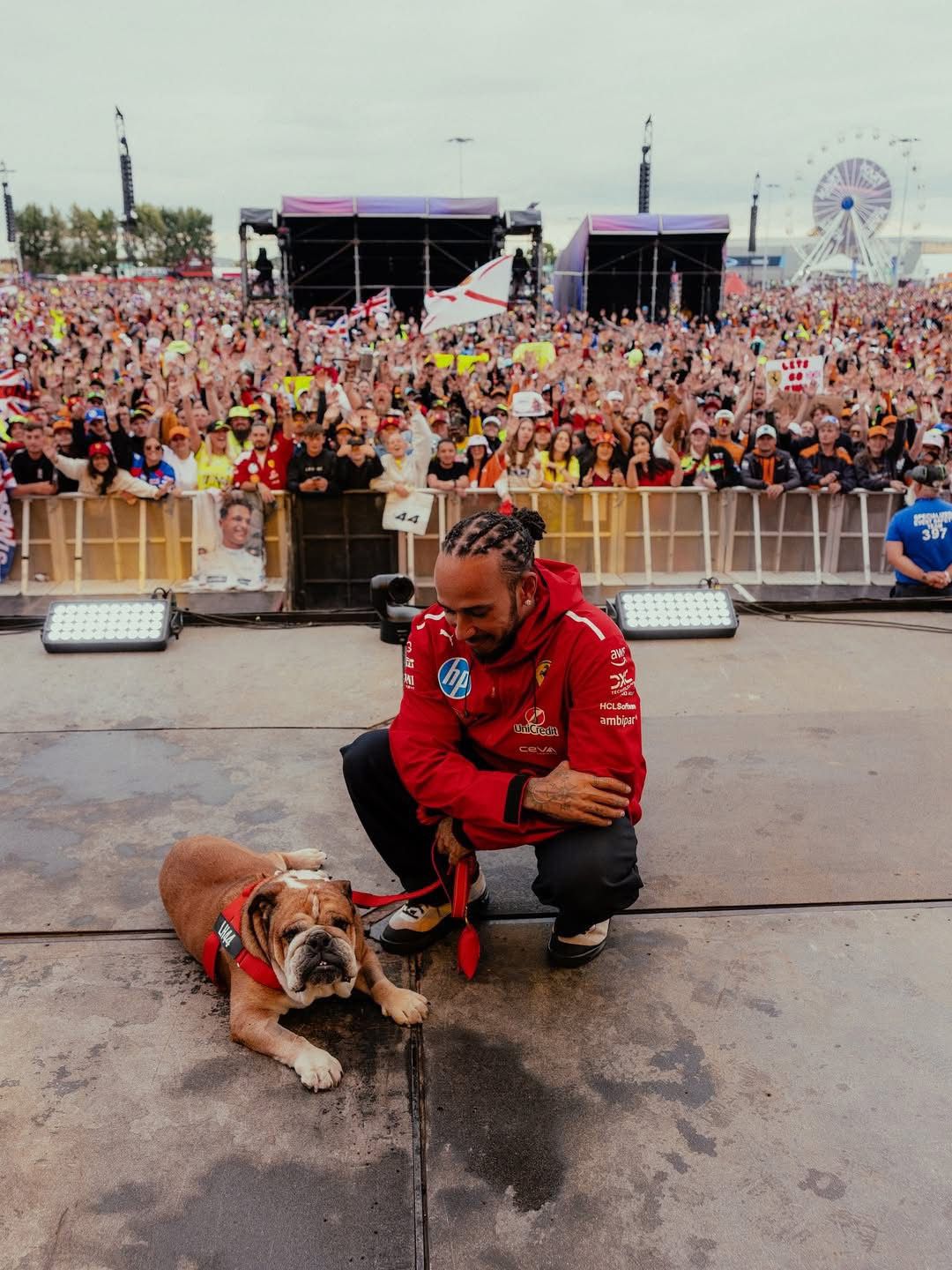Roscoe, el bulldog inglés de Lewis Hamilton, murió tras cuatro días en coma