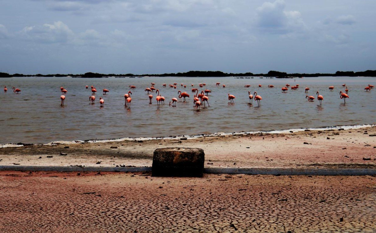 Voces unidas para afrontar el cambio climático en Yucatán
