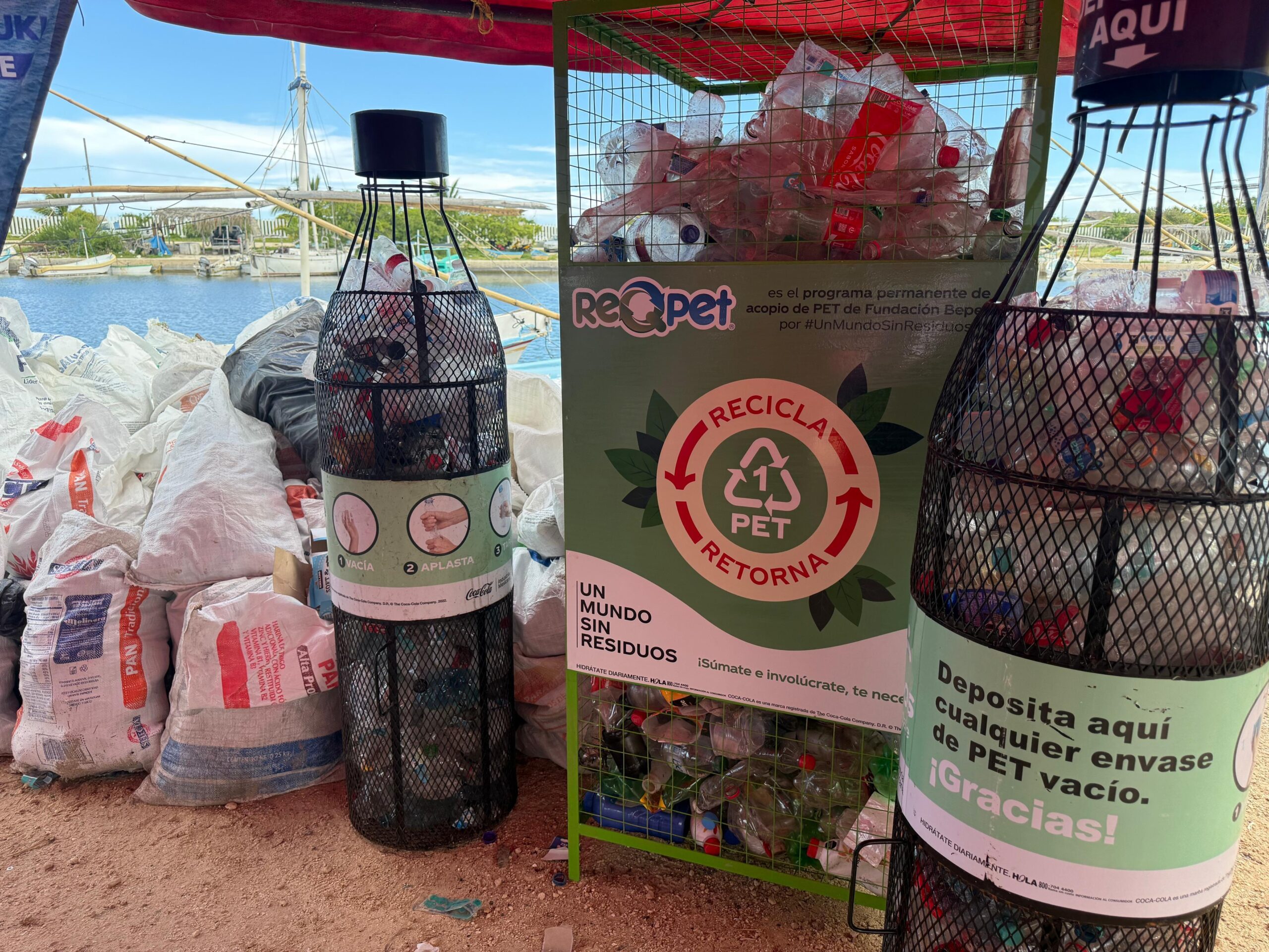 Yucatán retira más de cinco toneladas de basura en limpieza simultánea de playas