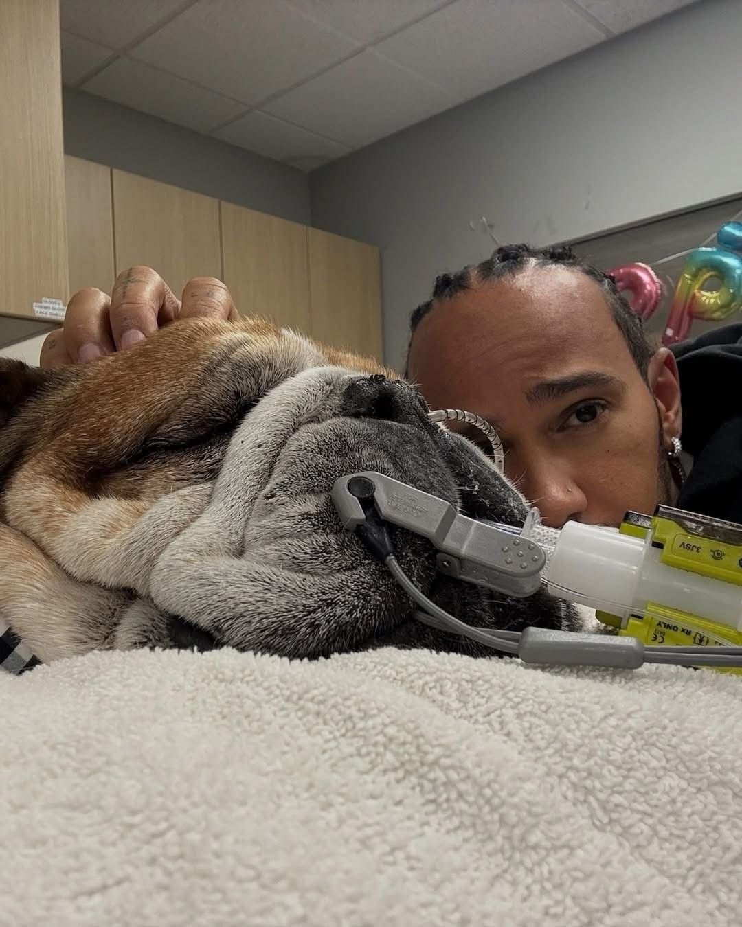 Lewis Hamilton y la angustia por la vida de su perro Roscoe
