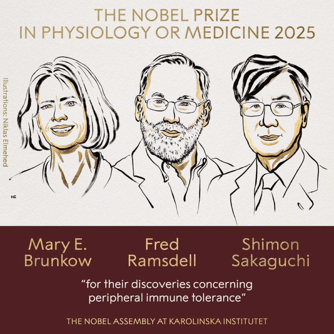 Premio Nobel de Medicina 2025