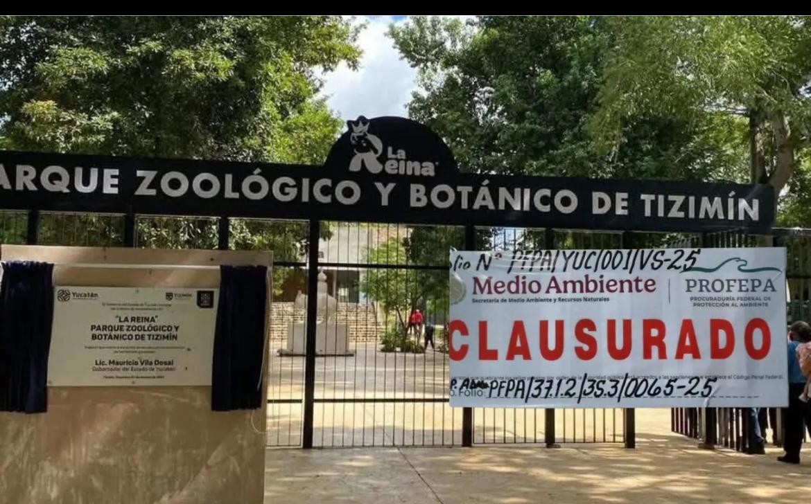 Clausuran temporalmente el zoológico La Reina de Tizimín tras denuncias de maltrato y muerte de un jaguar