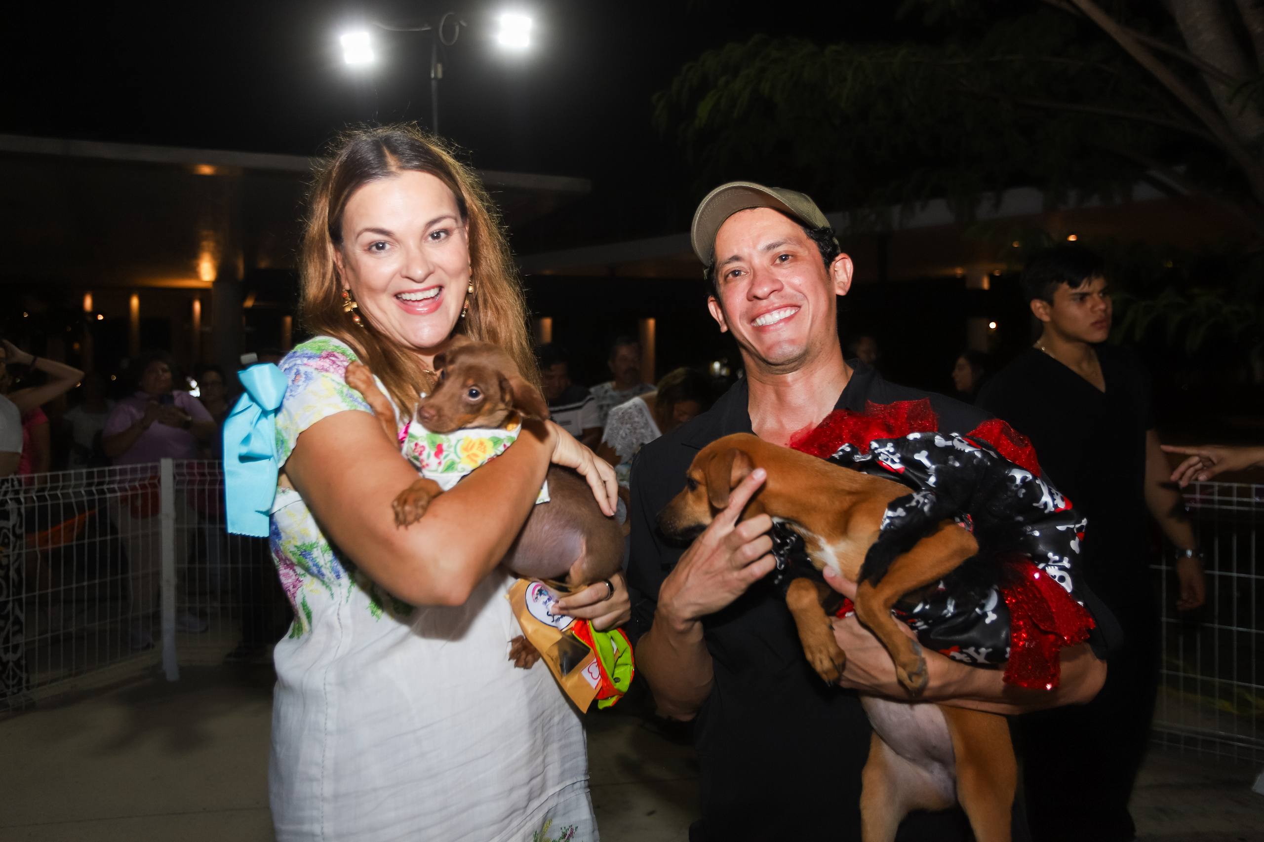Mérida impulsa el bienestar animal con campaña gratuita de esterilización