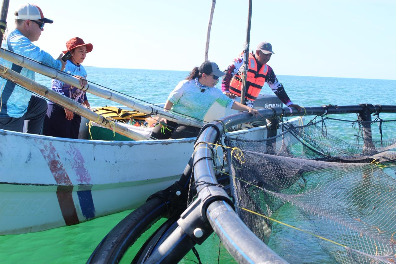 Gobierno de Yucatán convoca al Premio Estatal de Pesca y Acuacultura Ejemplar 2025 para reconocer prácticas sustentables.