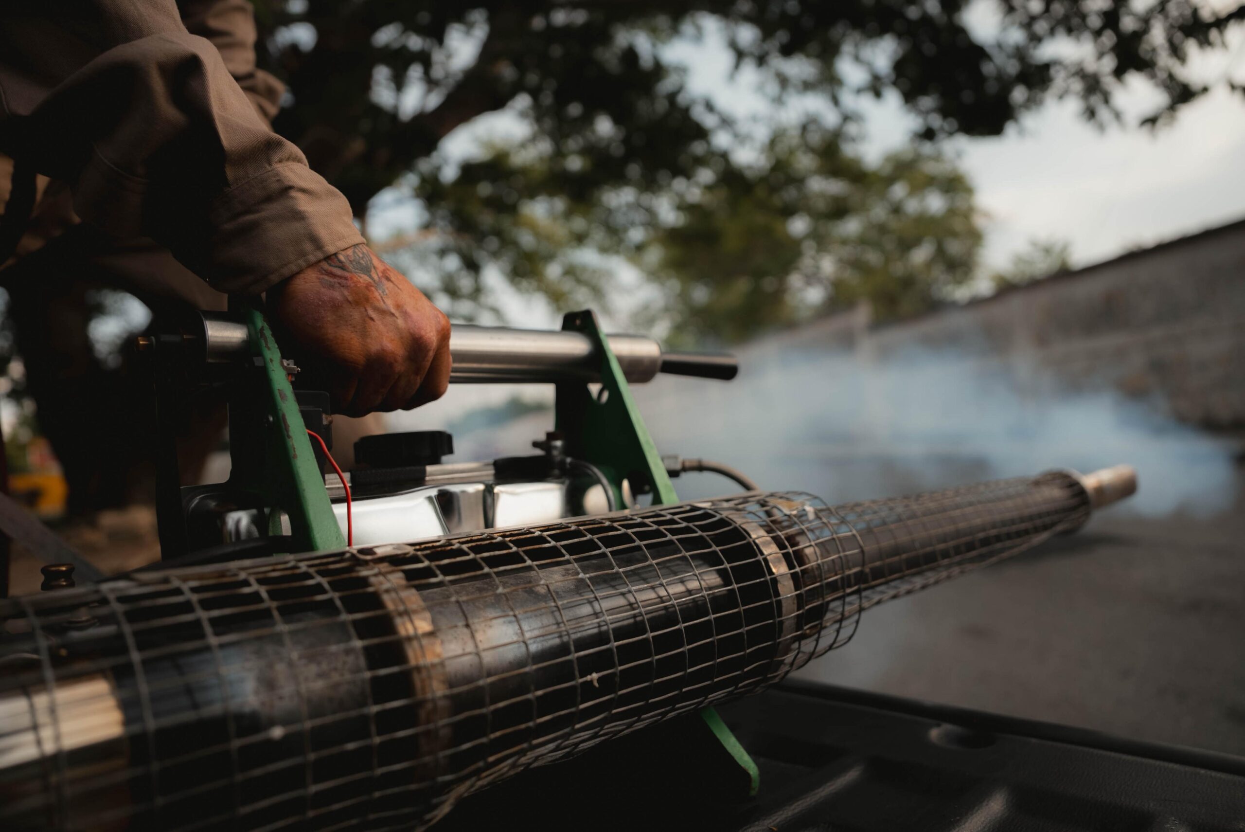 Yucatán Refuerza Prevención contra Chikungunya: Lava, Tapa, Voltea y Elimina