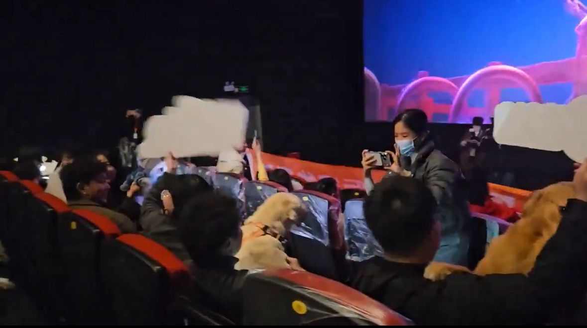 Cines pet-friendly en China: perros disfrutan Zootopía 2 en la pantalla grande