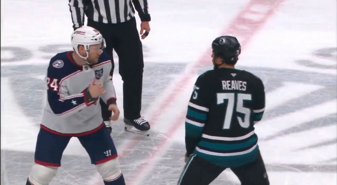 Nocaut Histórico en la NHL: Mathieu Olivier Derriba a Ryan Reaves