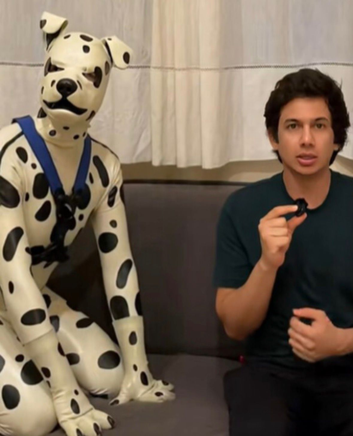 Viral: Therian de 42 Años, Raza Dálmata Acuarela, en Búsqueda de Dueño Responsable