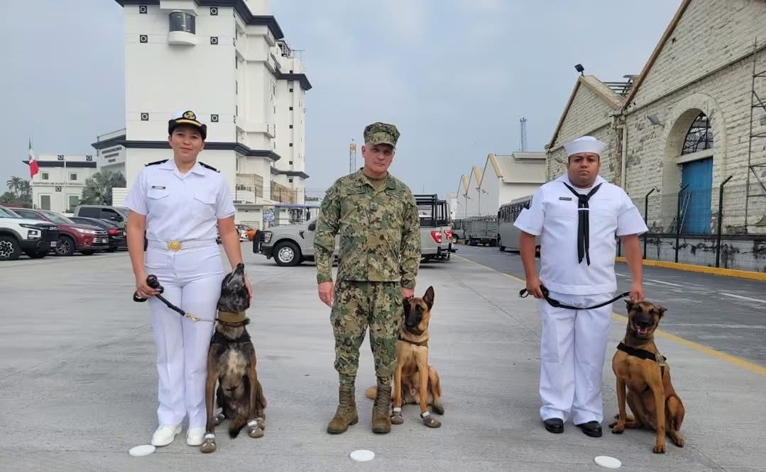 Héroes Caninos de la Armada: Karam, Hitzil y Kobu Concluyen su Servicio con Honores 