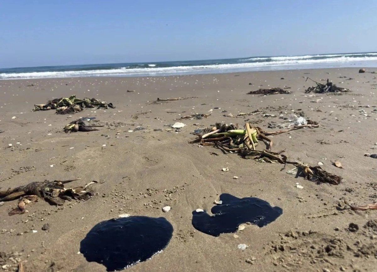 Sheinbaum culpa a barco privado por derrame en costas de Tabasco y Veracruz