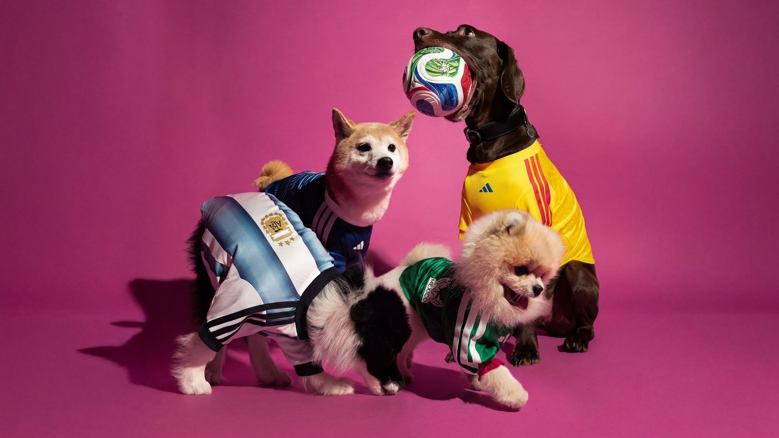 Adidas lanza camisetas oficiales del Mundial 2026… ¡pero para mascotas!