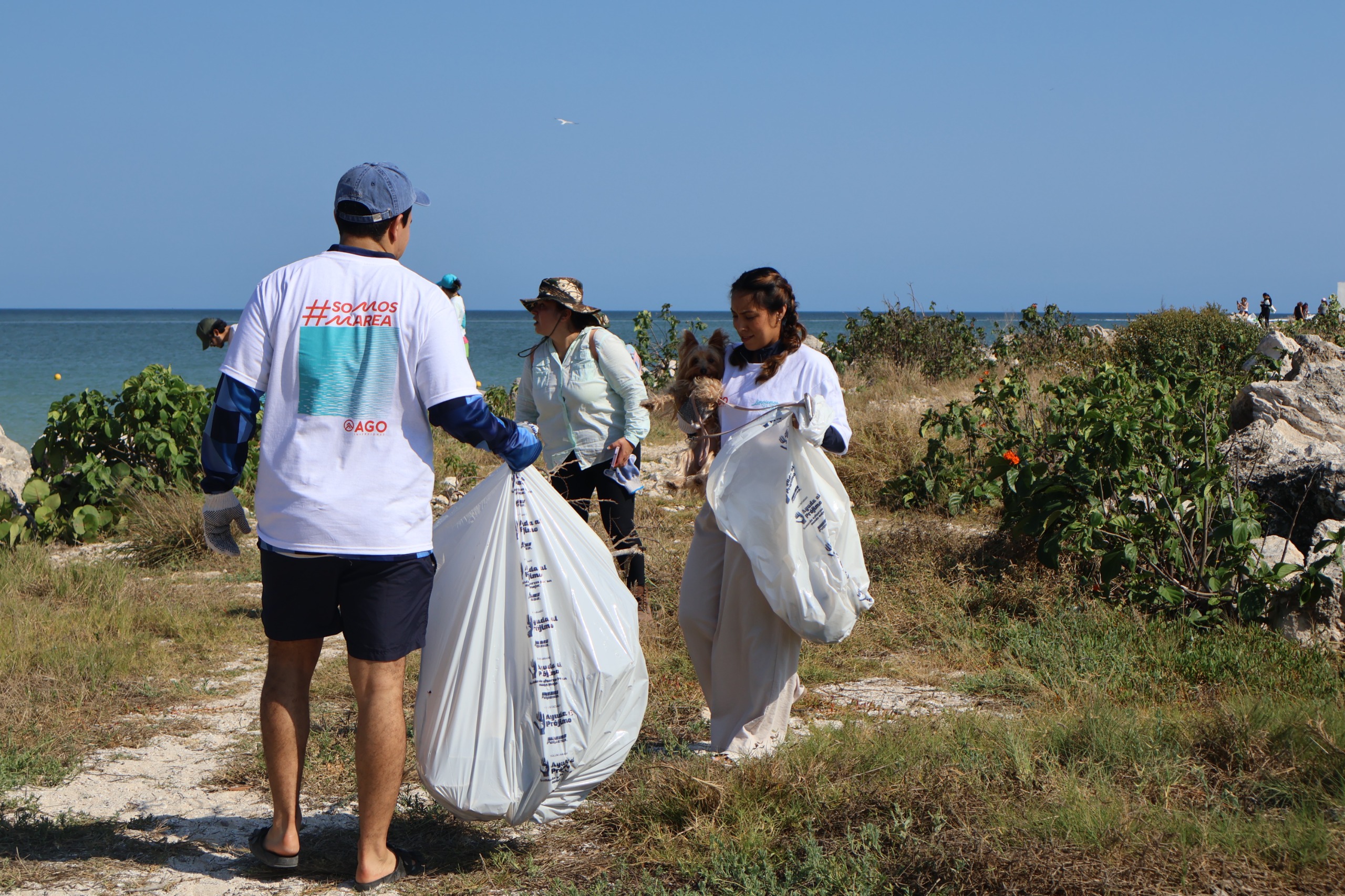 Sanean Playa Cerditos como parte del Programa de Limpieza Costera 2026
