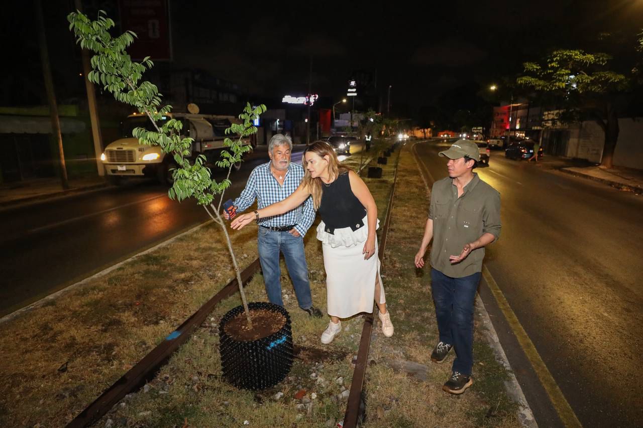 Circuito Colonias poniente se vuelve más verde: Cecilia Patrón inicia arborización con 100 árboles endémicos