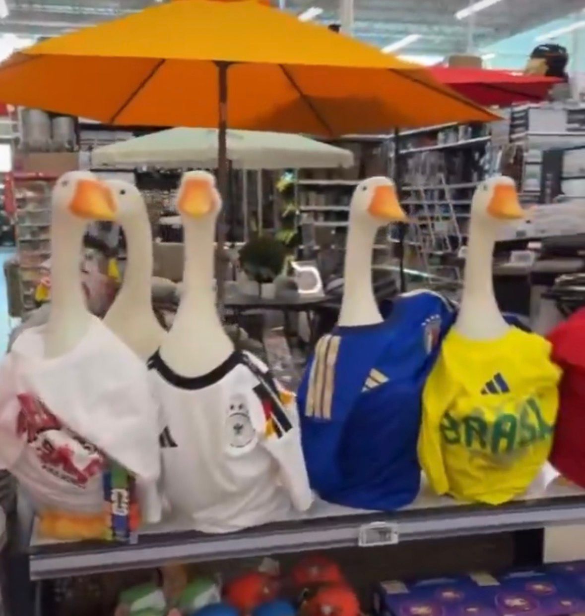 La fiebre por el pato Merlín llega a Canadá: tiendas venden figuras de patos con playeras del torneo
